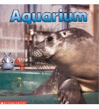 Building Language for Literacy Phase 1 Aquarium Big PlaceBook