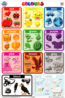 POSTER : Colours