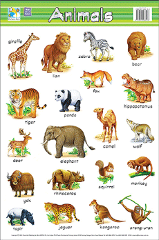 POSTER : Animals