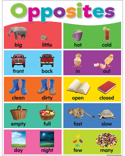 POSTER : COLORFUL OPPOSITES